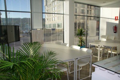 Office Plants Have Many Benefits, Including Purifying the Air and Boosting Productivity
